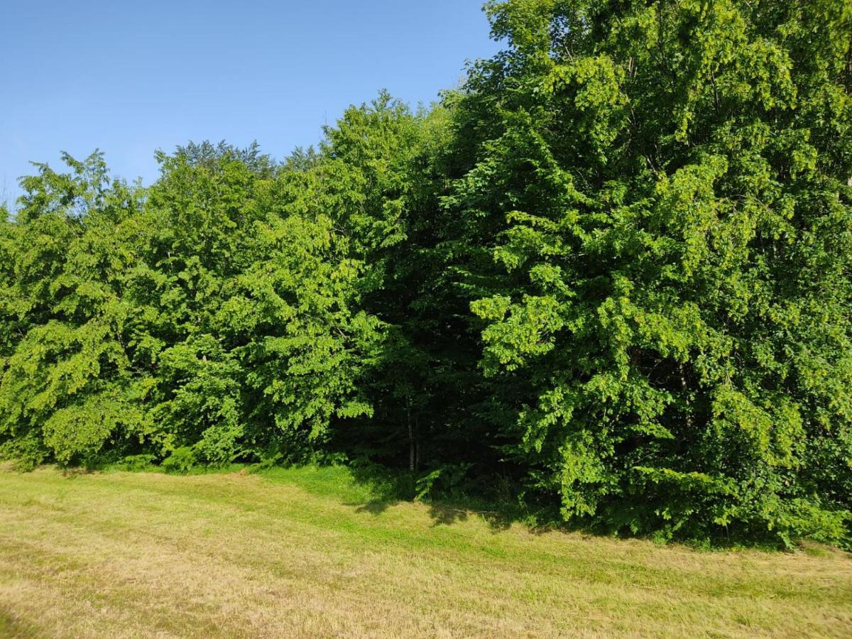 Apartmani Jana Bijelo Polje Exteriör bild