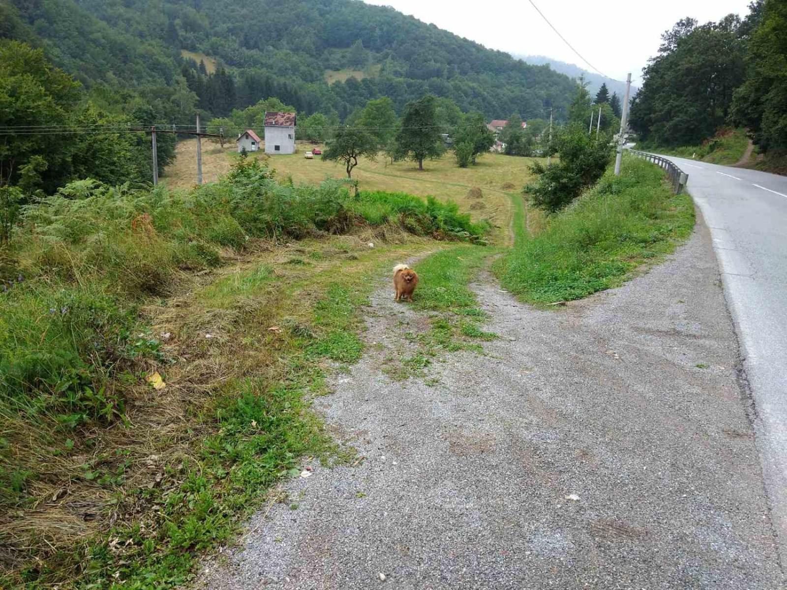Apartmani Jana Bijelo Polje Exteriör bild