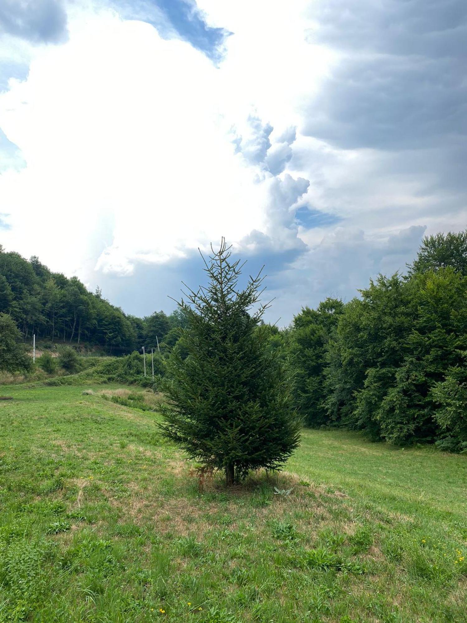 Apartmani Jana Bijelo Polje Exteriör bild