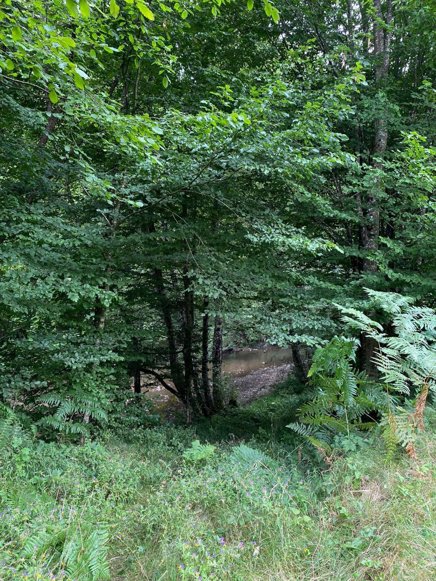 Apartmani Jana Bijelo Polje Exteriör bild